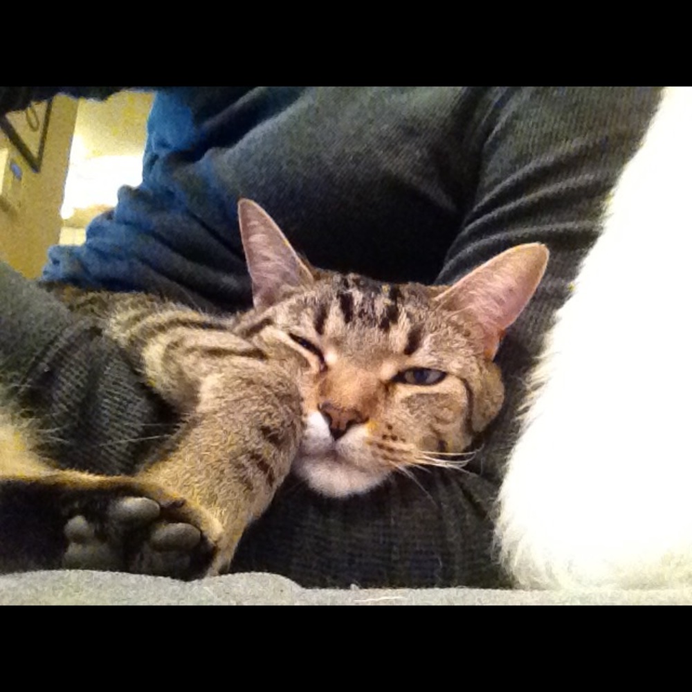 Meet your Posher, Brendan